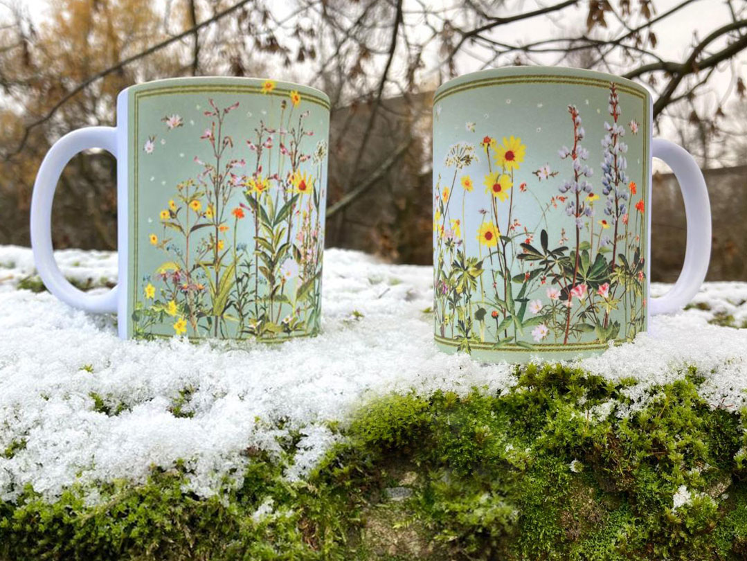 Lot-Coup-de-coeur-22-12-mug-Fleurs-sauvages-degrade-x2-IMG-20221214