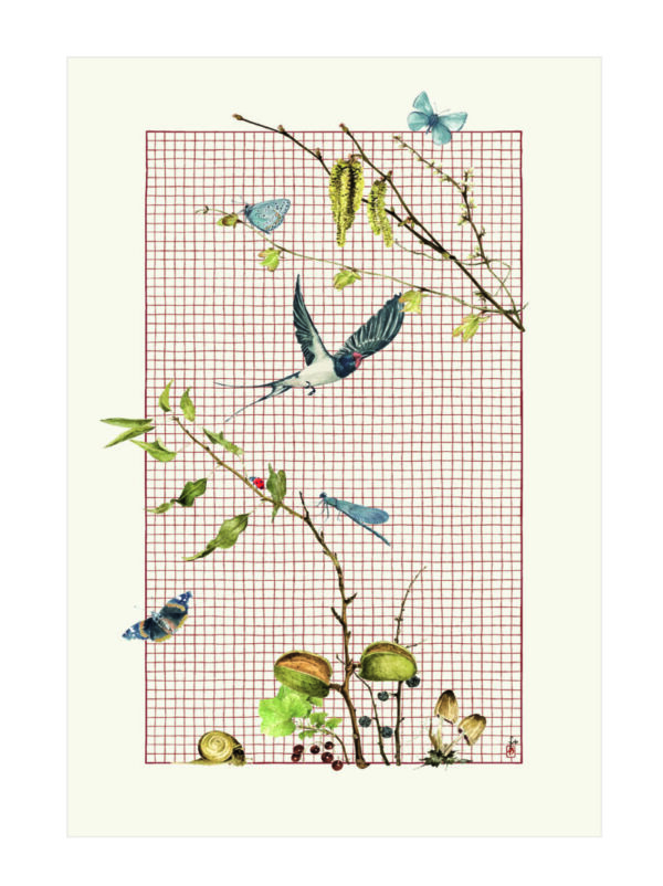 Le torchon en coton « Nature Nouvelle »